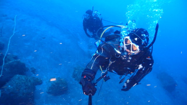 ダイブテリーズ