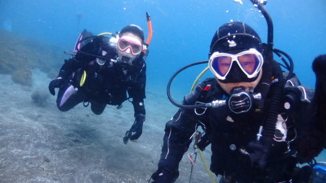 ダイブテリーズ