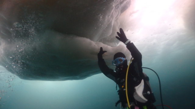 ダイブテリーズ