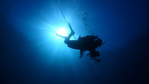 ダイブテリーズ