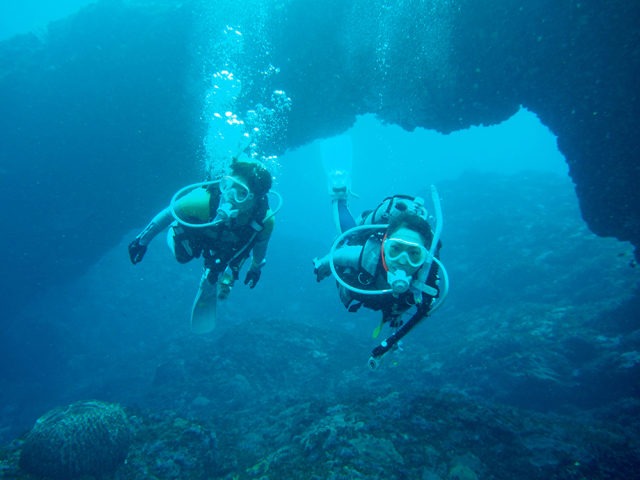 ダイブテリーズ