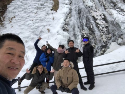 ダイブテリーズ