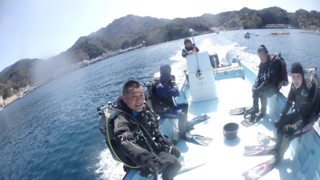 ダイブテリーズ