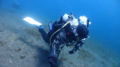 ダイブテリーズ