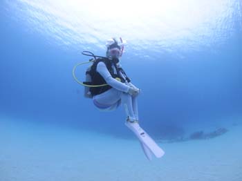 ダイブテリーズ