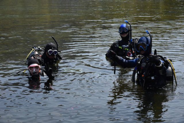 ダイブテリーズ