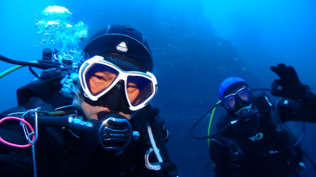 ダイブテリーズ