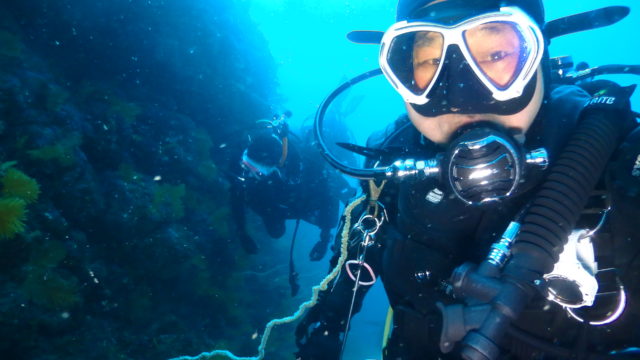 ダイブテリーズ