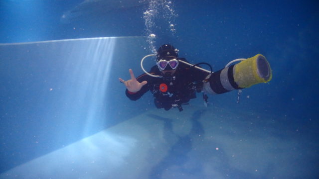 ダイブテリーズ