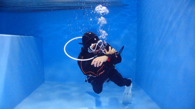 ダイブテリーズ