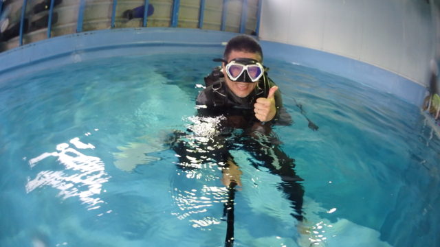 ダイブテリーズ