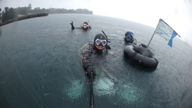 ダイブテリーズ
