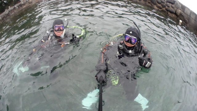 ダイブテリーズ