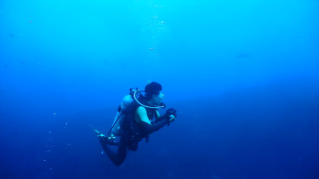 ダイブテリーズ