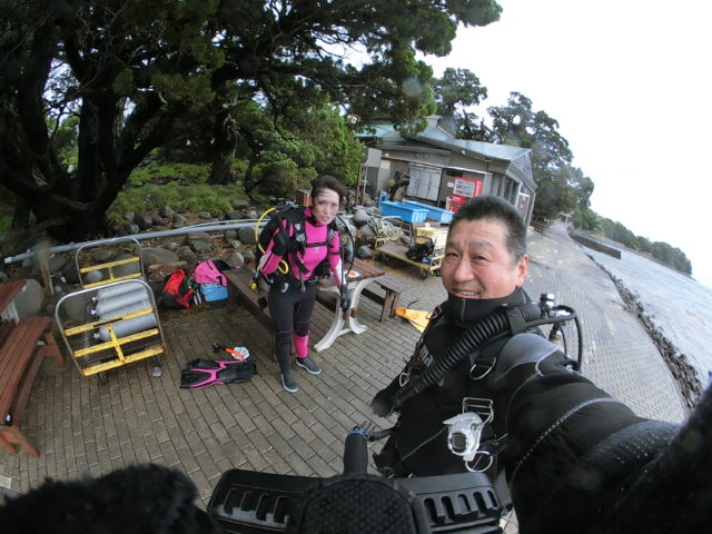 ダイブテリーズ