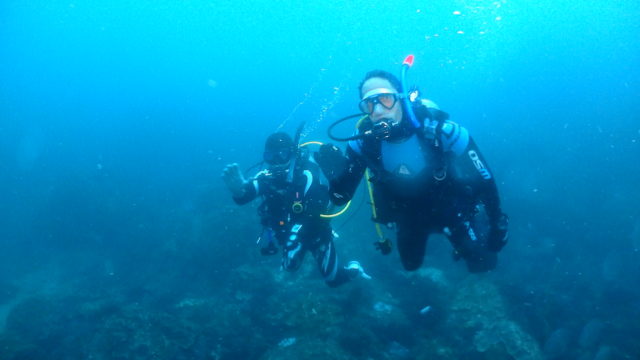 ダイブテリーズ