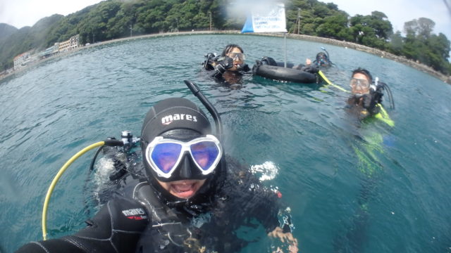 ダイブテリーズ