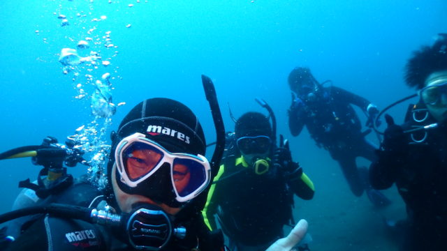 ダイブテリーズ