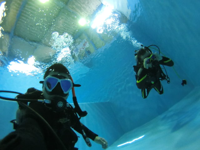 ダイブテリーズ