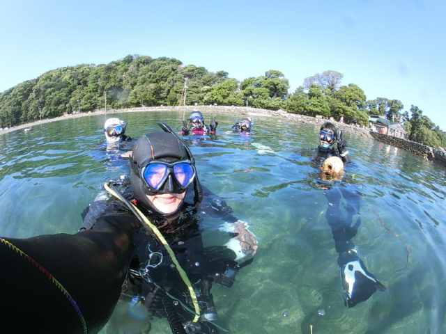 ダイブテリーズ