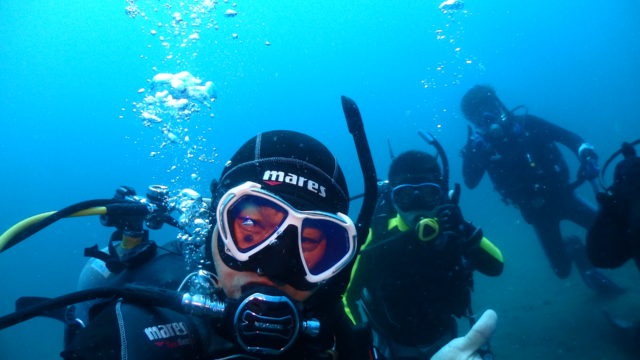 ダイブテリーズ