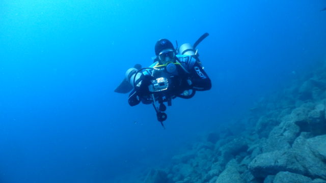 ダイブテリーズ