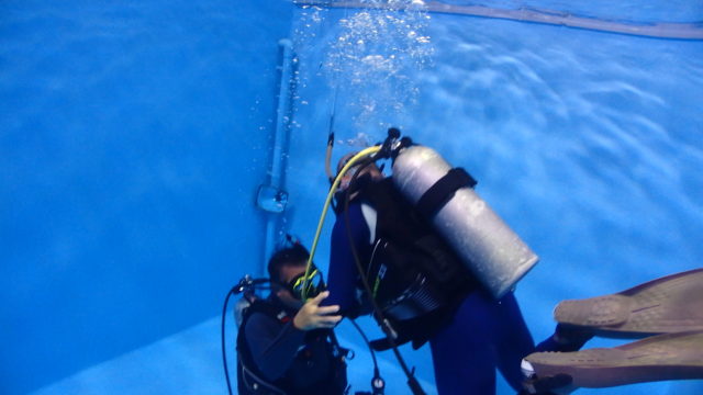 ダイブテリーズ