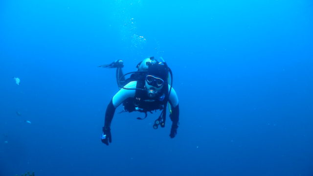 ダイブテリーズ