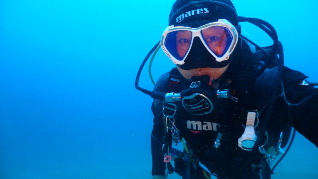 ダイブテリーズ