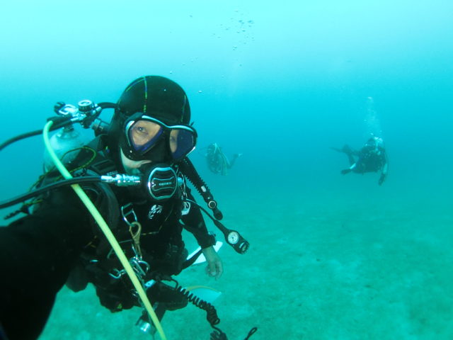 ダイブテリーズ