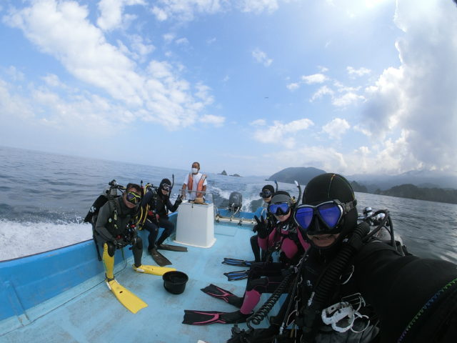 ダイブテリーズ