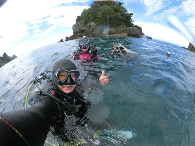 ダイブテリーズ