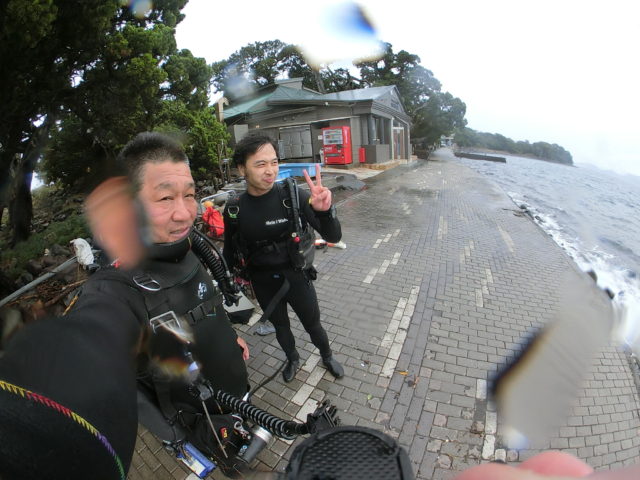 ダイブテリーズ