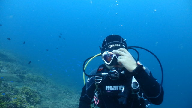 ダイブテリーズ