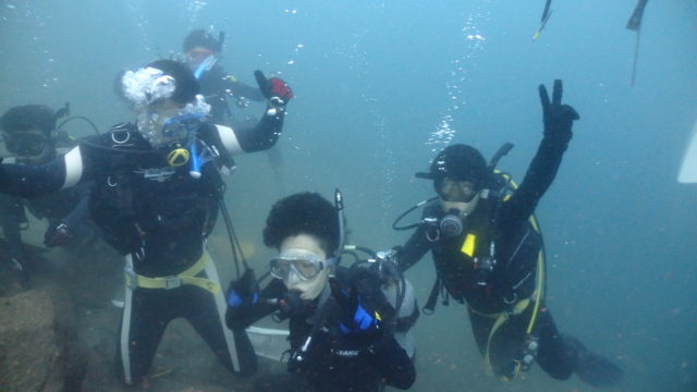 ダイブテリーズ