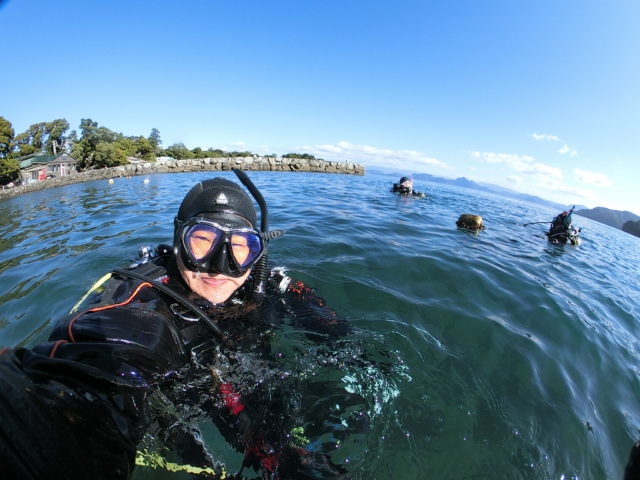 ダイブテリーズ