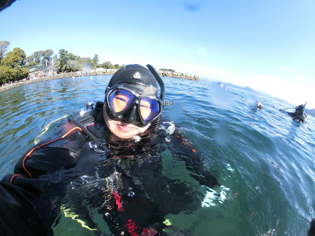 ダイブテリーズ