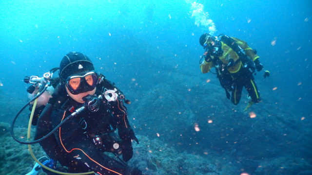 ダイブえりーず