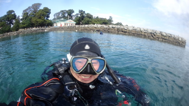 ダイブテリーズ