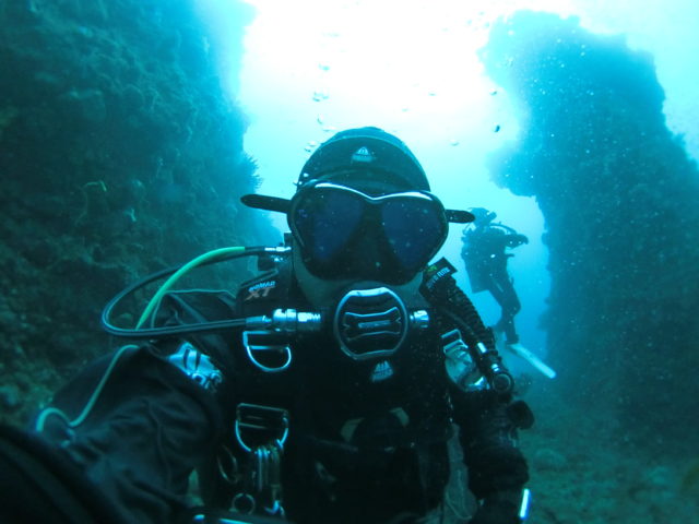 ダイブテリーズ