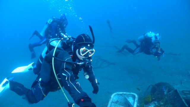 ダイブテリーズ