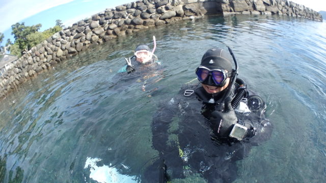 ダイブテリーズ