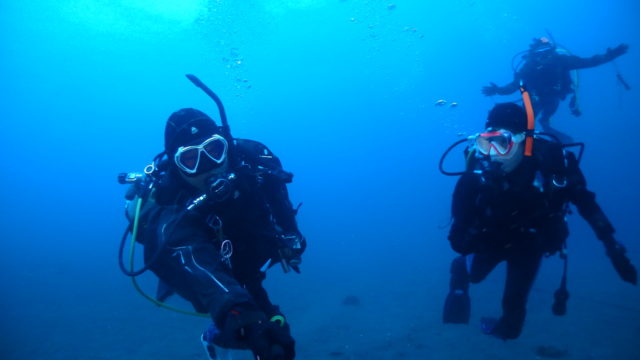 ダイブテリーズ