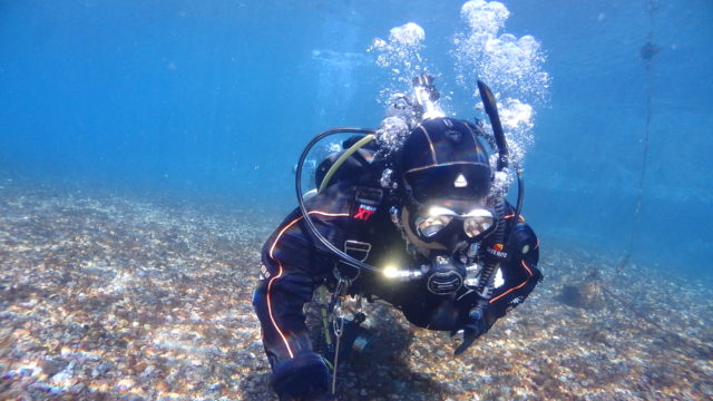 ダイブテリーズ