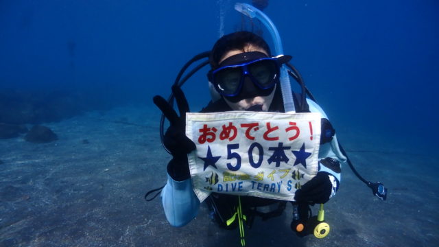 ダイブテリーズ