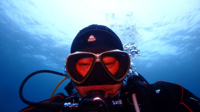 ダイブテリーズ