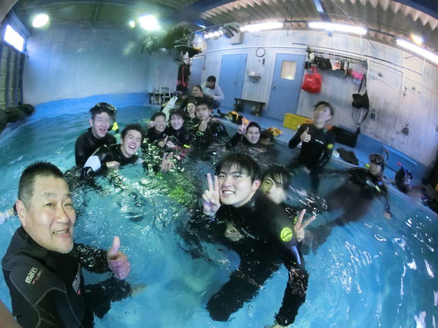 ダイブテリーズ