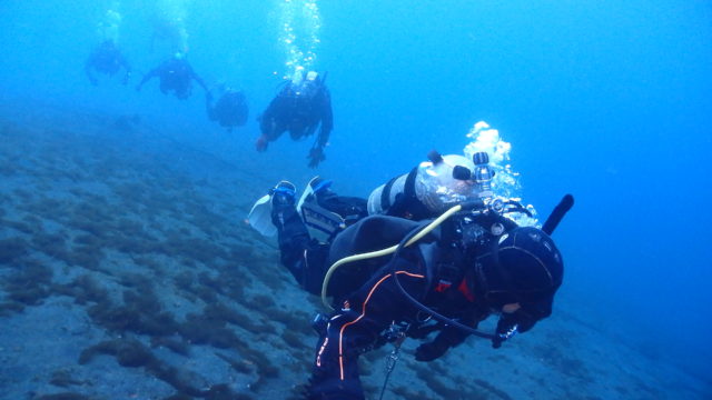 ダイブテリーズ