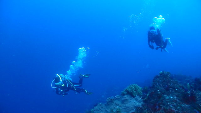 ダイブテリーズ