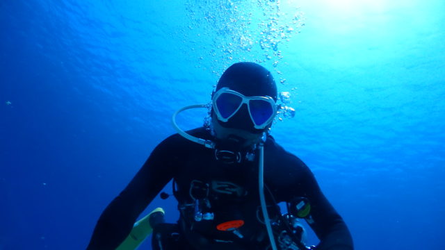 ダイブテリーズ